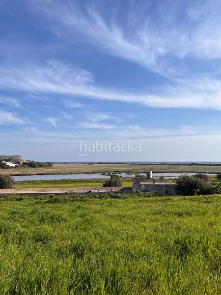 Foto aef19a71-5861-4e71-804f-df4394a2890e. Finca rústica a Son Bou-Sant Jaume Alaior