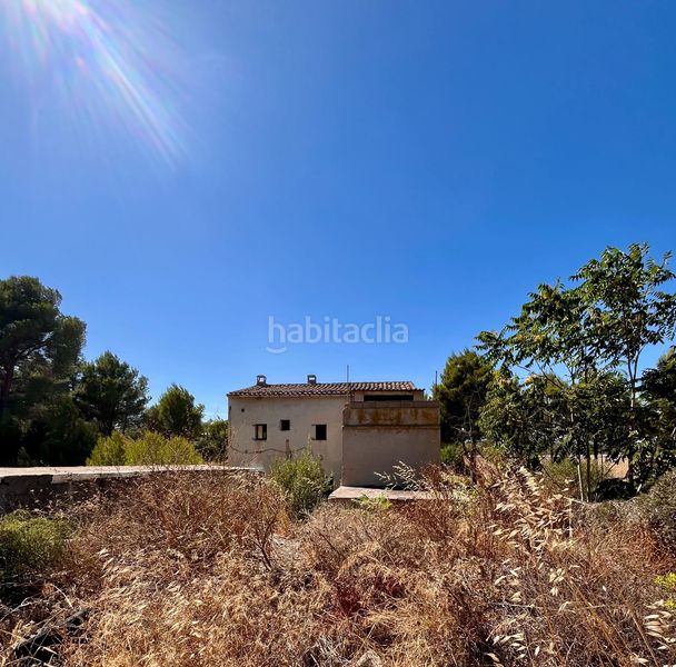 Foto ea756a89-4b0f-4fa4-8193-1da5560ab44c. Finca rústica a Son Servera poble Son Servera