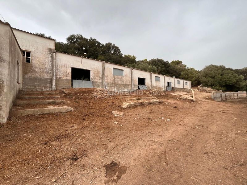 Foto 3122f162-c586-49b4-b8ad-039395d859a2. Bauernhof in Es Mercadal poble Es Mercadal