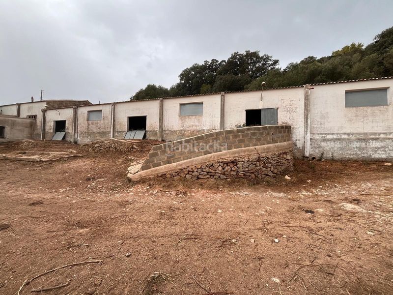Foto fa3242ce-29c4-46bc-8a5d-fc74e2b63336. Bauernhof in Es Mercadal poble Es Mercadal