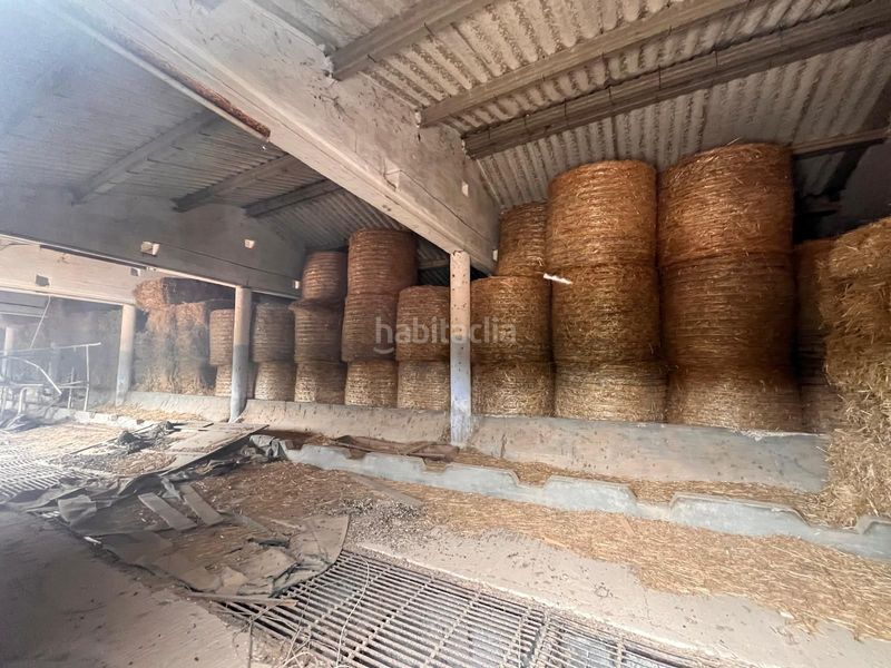 Foto fc07e8cf-46b2-4ff2-a863-81bdc1fef23b. Bauernhof in Es Mercadal poble Es Mercadal