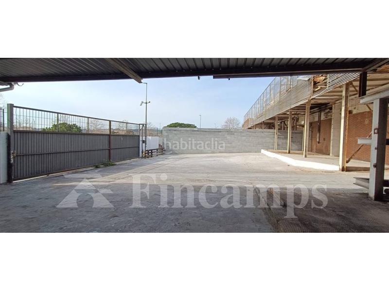 Foto ee723d34-a03f-4a44-b8ae-1e30c46c4c5f. Rent industrial building in Parc Central Barberà del Vallès