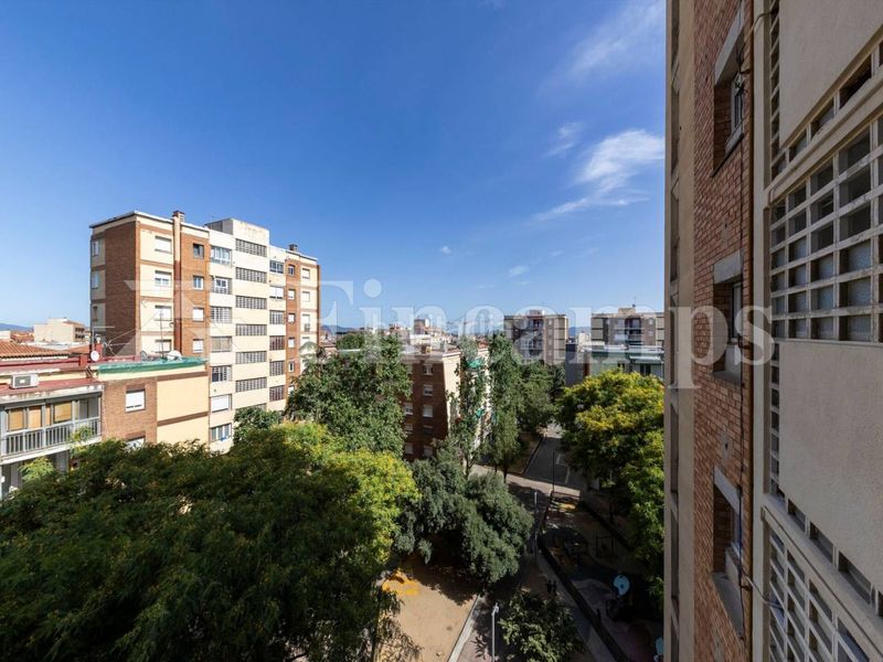 Foto 593f0c3d-d6bd-49b5-8f1d-c07bd4fe0d9d. Pis a Creu Alta Sabadell