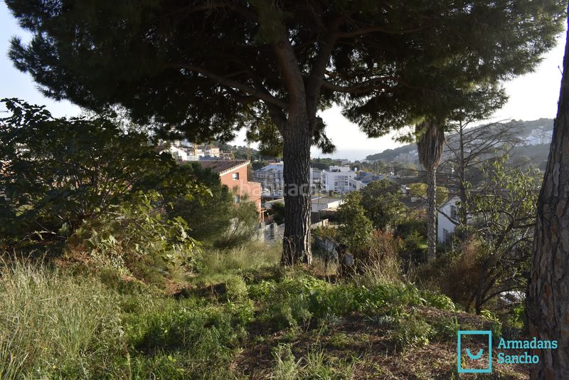 Foto 66299c6d-5dbf-40a4-a3d2-3655269c9b93. Terreny residencial a Tiana