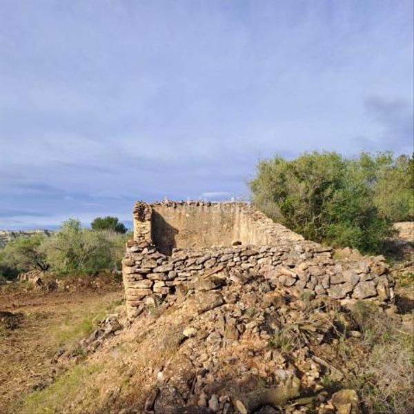 Foto 276fcf7d-f709-49ae-9e88-8427076b7ce8. Bauernhof in Urbanitzacions Tortosa