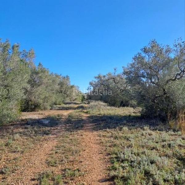 Foto 667929e2-6978-4c1e-9466-fdcc236024a3. Bauernhof in Urbanitzacions Tortosa