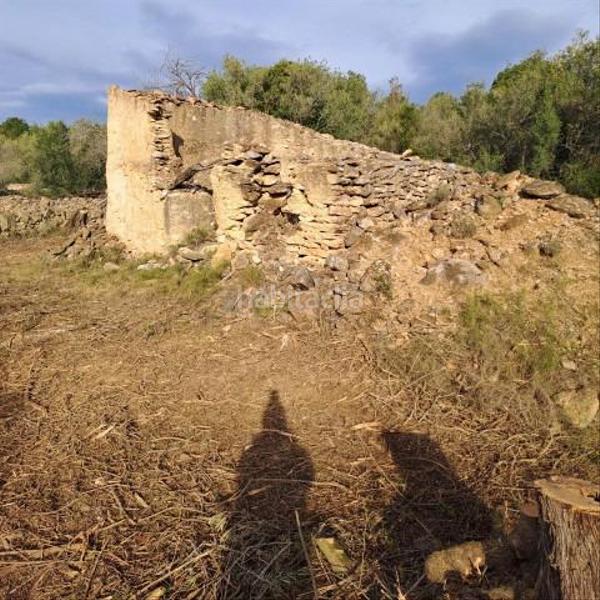 Foto e0cbfd5d-347b-4b75-ad15-073e293c90d3. Bauernhof in Urbanitzacions Tortosa