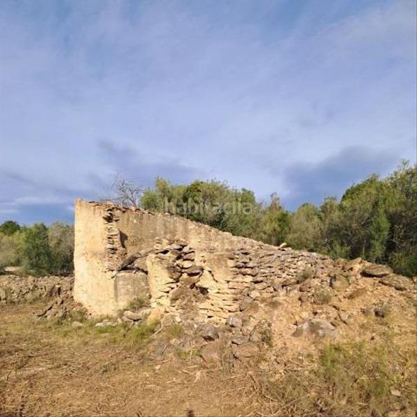 Foto 075d2928-64d2-469e-9fe8-2f8bbdf5619a. Casale in Urbanitzacions Tortosa