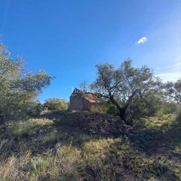 Foto 6c7914db-8f01-48ca-b8ca-4d66fc4b87ce. Casale in Urbanitzacions Tortosa