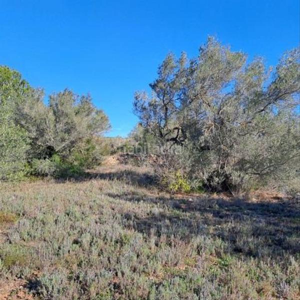 Foto be1d8c8e-7fa0-4657-acd9-cf9411340ee2. Casale in Urbanitzacions Tortosa