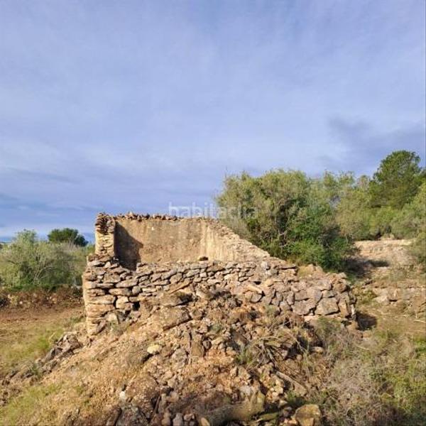 Foto 2354271a-bd85-481b-a303-f3322525109e. Mas dans Urbanitzacions Tortosa