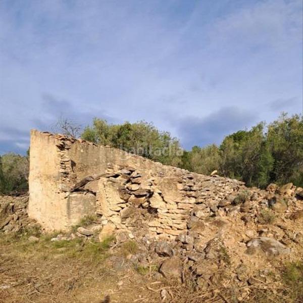 Foto 6641b4d2-8a07-45c1-8da3-6477392e86ea. Mas dans Urbanitzacions Tortosa