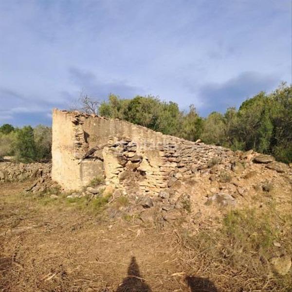 Foto fa978803-ee89-4a5c-8d1c-98c307312bd1. Mas dans Urbanitzacions Tortosa