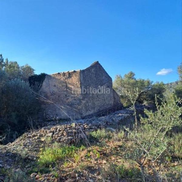 Foto faaf3724-e429-4bc0-a9ff-771c8309ea43. Mas dans Urbanitzacions Tortosa