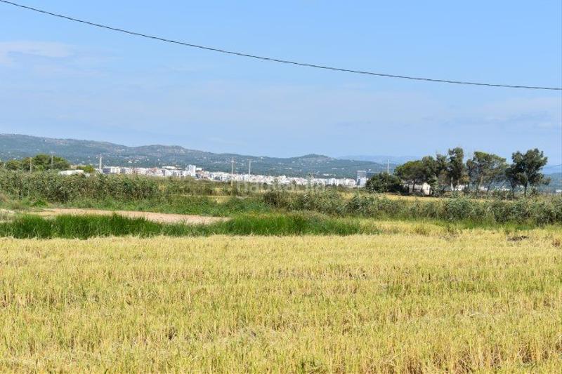 Foto 18c4eda1-b353-4307-80d4-2aedae036ae9. Country house in Ampolla (L´)