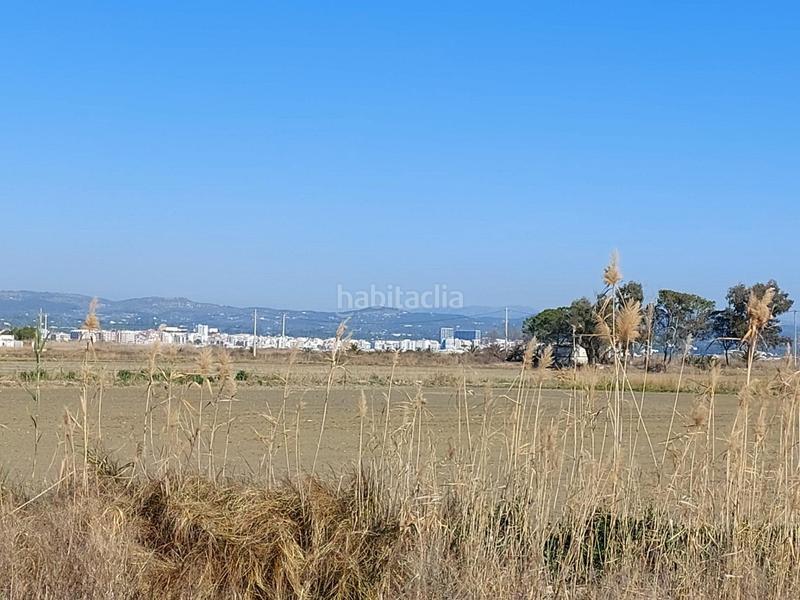 Foto 8f7f065e-e8d4-4422-a11c-d61ed91cc73a. Country house in Ampolla (L´)