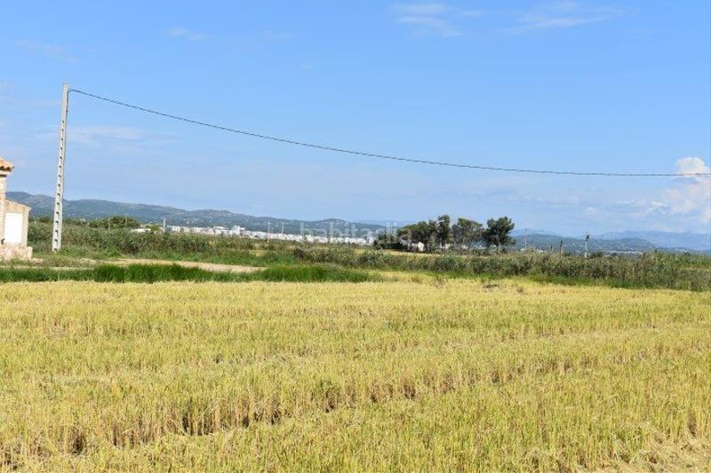 Foto d73fb059-3aad-4c2c-a2d5-433eb6476733. Country house in Ampolla (L´)