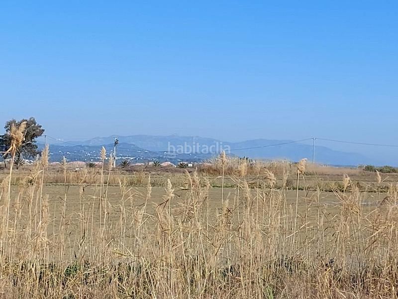 Foto c7a72181-5cc8-4259-9847-dda3f59aa650. Masía en Ampolla (L´)