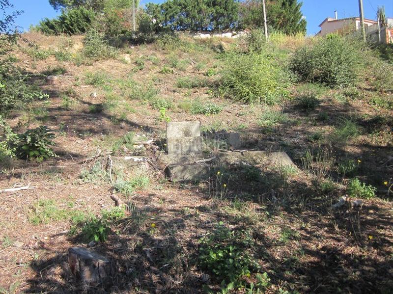 Foto 58f8c3f1-d1e4-44e5-9a41-61edd3fdadc7. Propriété dans Terrafortuna - Puig Ventós Vidreres