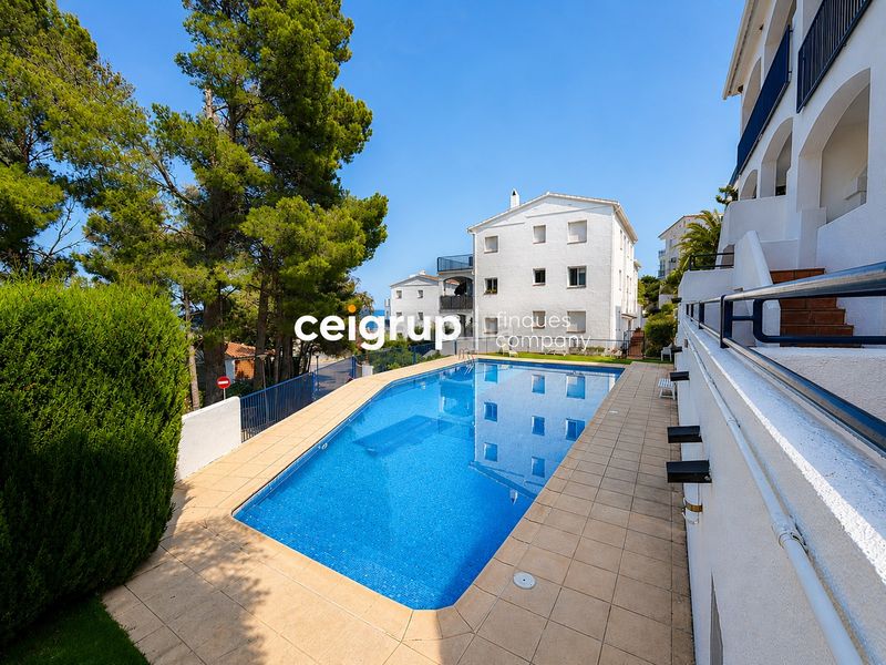 Foto d110c5b8-dff5-434e-a731-833a24475895. Planta baixa amb aparcament piscina a Cau del Llop - Super Fener - Fener Llançà