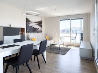 Rent Flat in Domeny. Piso