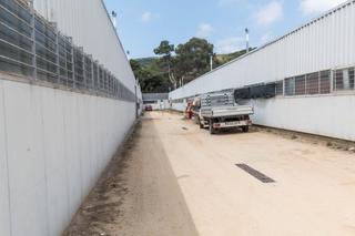 Rural plot  Calle can miro de. Venta de dos fincas rústicas en mataró, cerca de la autopista