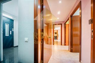 Appartement  Passeig de la florida. Paseo relajante