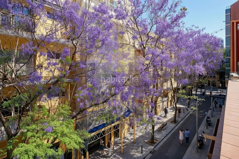 Foto 1bc83a76-d74b-464b-81d4-e3390a33ae75. Pis a Sant Ramon - Maternitat Barcelona