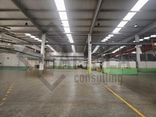 Rent Industrial building in Carrer casal de santa coloma 6. Tipo ´c´ ideal producción