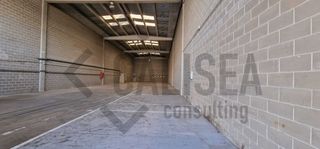 Affitto Capannone industriale in Avinguda puig dels tudons 10