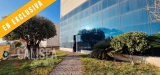 Affitto Capannone industriale in Sud-Zona Industrial