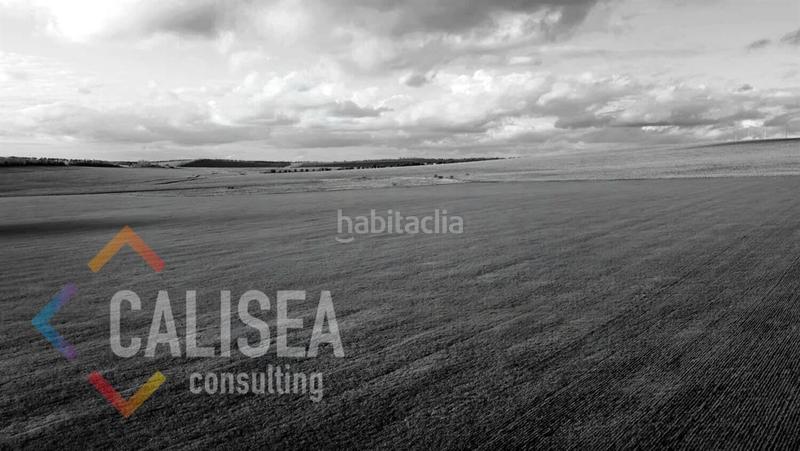 Foto b4e12ec0-c7bc-470a-a7da-10480c98a173. Solar industrial a Casablanca Sant Boi de Llobregat