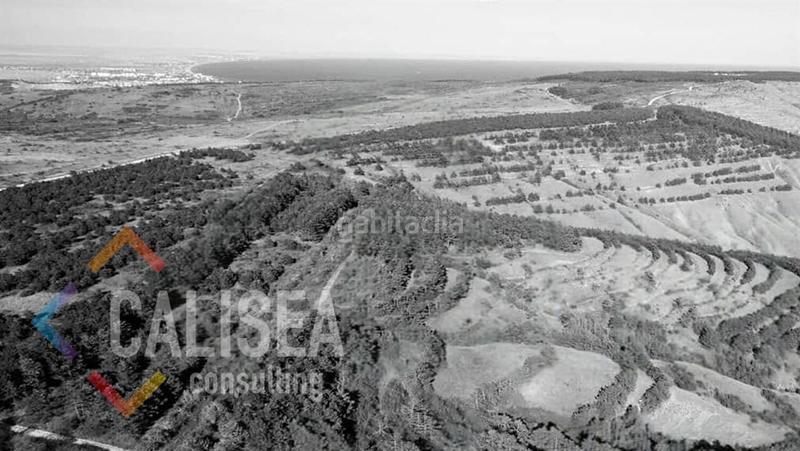 Foto 1b9c0cd3-3599-4465-9f5d-9fea03233616. Gewerbliches grundstück in Sant Cosme-La Granja Prat de Llobregat (El)