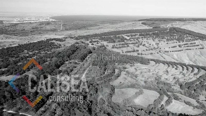 Foto 8304fb7d-abbd-4da1-bdac-30362690442c. Area edificabile industriale in Bon Pastor Barcelona