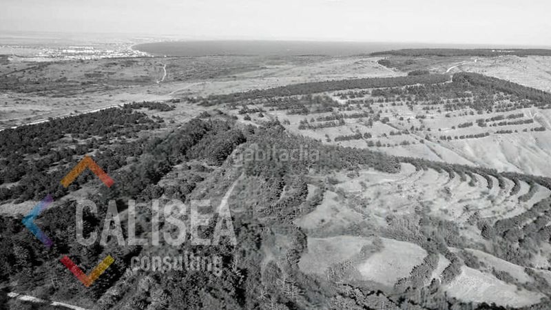 Foto c1fc29e5-a88c-41d3-ade7-a2a9acab6e77. Terrain industriel dans carrer de mèxic 17 dans Els Merinals Sabadell
