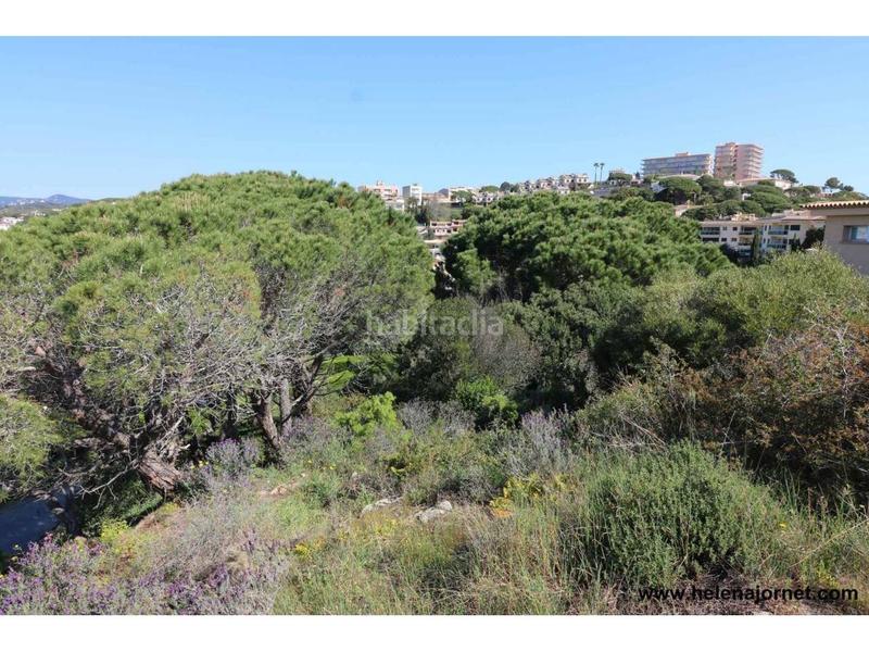Foto 051500cc-01b5-4b01-ad4d-7ad6010ea772. Terrain industriel dans Volta de l´Ametller Sant Feliu de Guíxols