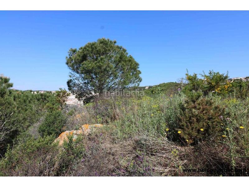 Foto fe8e84b5-8e0d-4026-a6af-e9323004afde. Terrain industriel dans Volta de l´Ametller Sant Feliu de Guíxols
