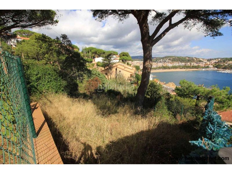 Foto 3f874fe3-9d1f-4f8b-9413-038a7e757b9c. Finca rústica a Puntabrava-Port Salvi Sant Feliu de Guíxols
