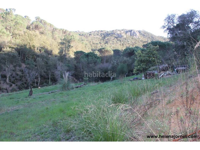 Foto 9c263ce2-d9c2-4d9e-b849-5473e8888d7e. Finca rústica a Golf Costa Brava Santa Cristina d´Aro