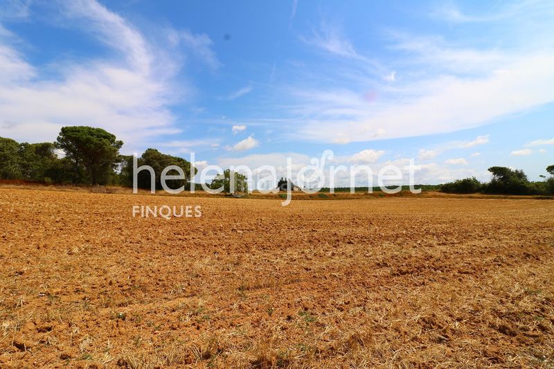 Foto 5d88a64c-8ba5-4386-9d16-b559df8329dd. Masia a Sils