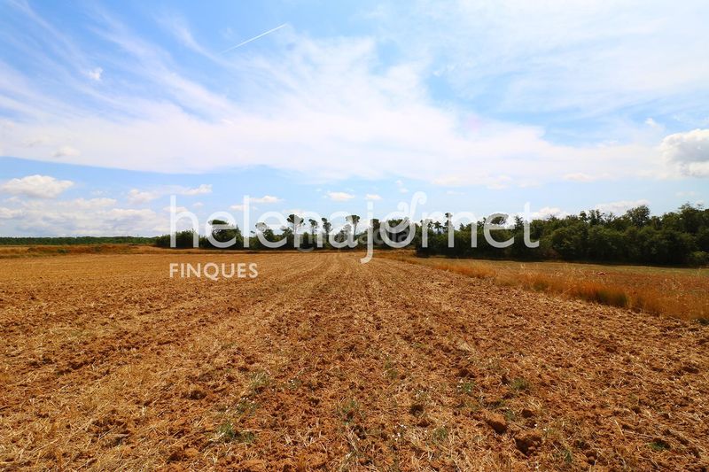 Foto c298b7d7-fdcf-44d5-9ca8-4432f338fd50. Masia a Sils