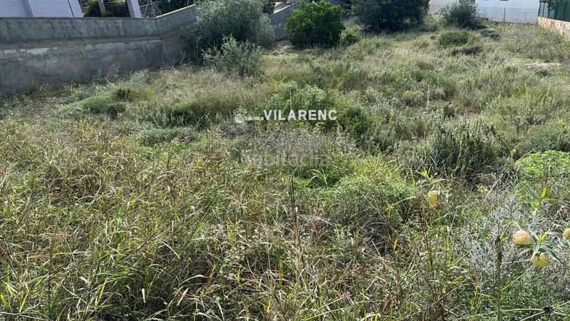 Foto 8ab73098-ee0e-4ce6-ac68-923dc7f89eff. Finca rústica a Valldemar-Montmar Segur de Calafell