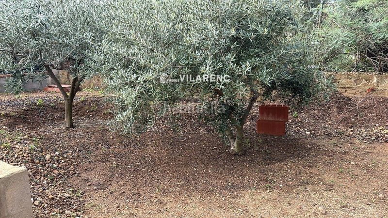 Foto c65da7a1-cbf7-4b5d-8ea2-5e9bfcc81240. Finca rústica a Valldemar-Montmar Segur de Calafell