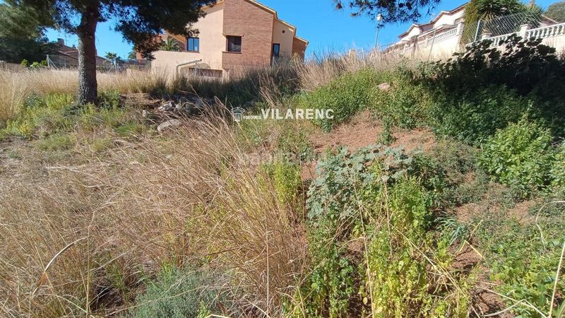 Foto 0763cf90-fee7-4e02-a21f-ed0047be6d32. Finca rústica a Roda de Barà