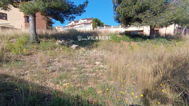 Foto 19caf0d2-62b9-4a24-b132-e3d371cf5085. Finca rústica a Roda de Barà