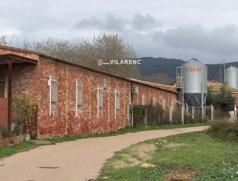 Foto bf053f47-bfba-4783-bc83-5b7098681428. Finca rústica a Sant Jaume dels Domenys