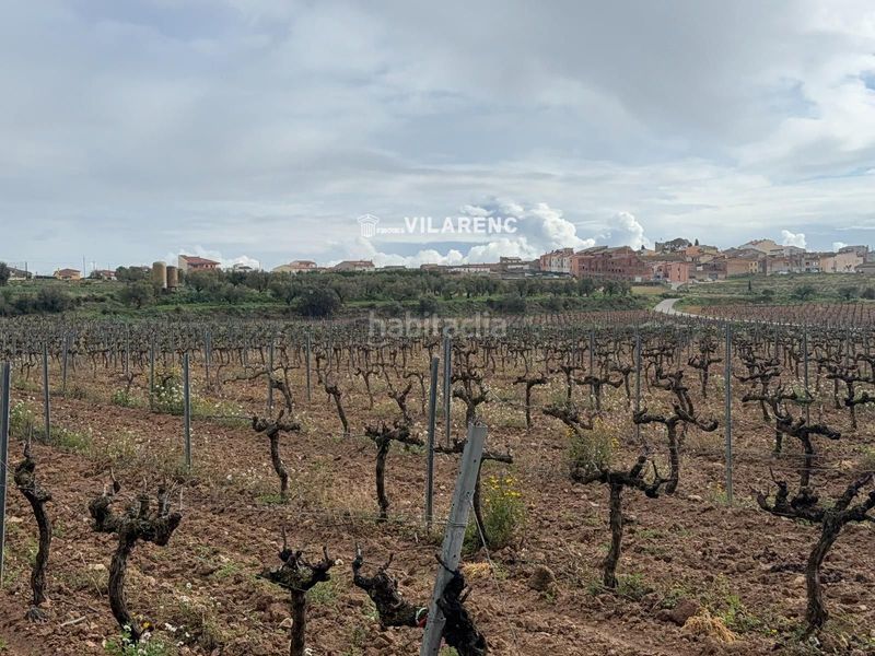 Foto c70cc156-5141-4add-bcd4-078dcd948197. Finca rústica a Sant Jaume dels Domenys