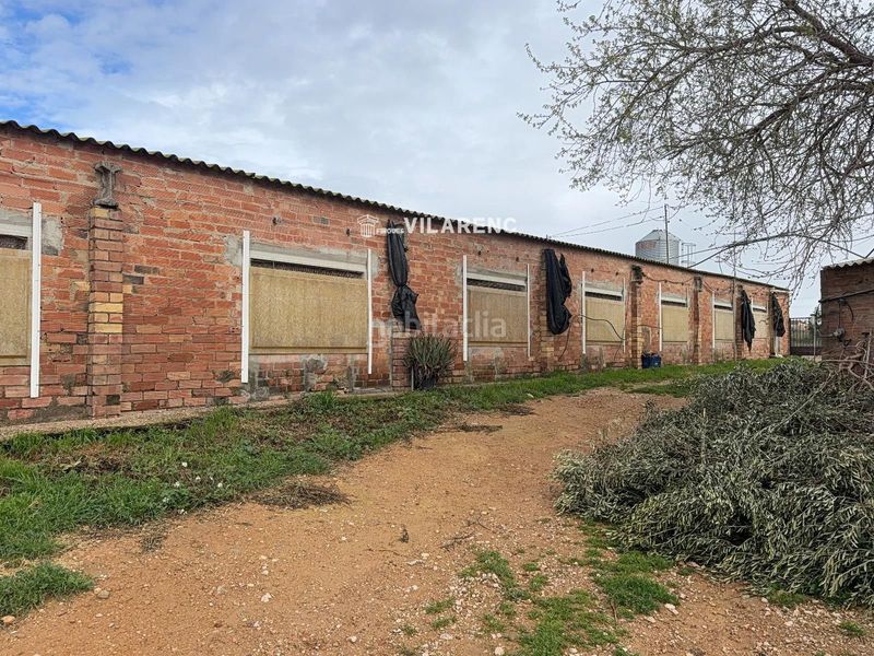 Foto ebbe1d70-9a68-44be-b9fb-702f91c1b54c. Finca rústica a Sant Jaume dels Domenys