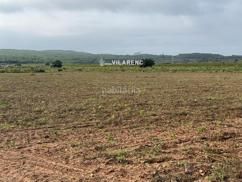 Foto 3b151c08-560f-402a-9670-8e8b1053b057. Finca rústica a Arboç (L´)