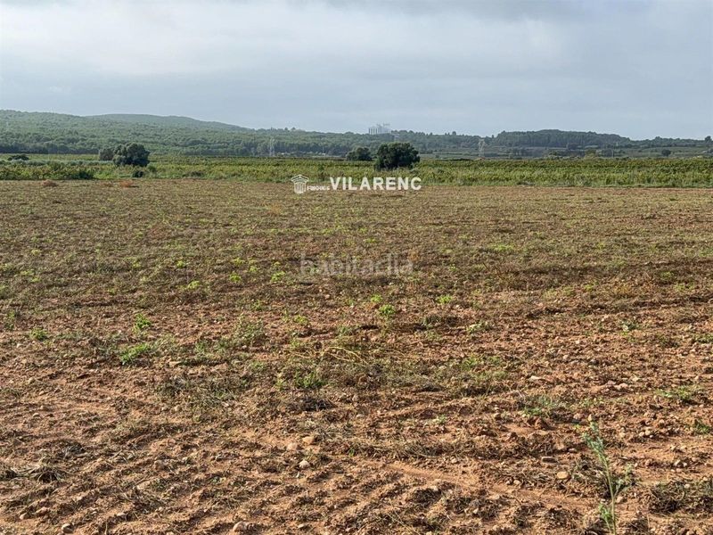 Foto 55bcfe11-ce5c-4f3c-b057-8726d208ed74. Finca rústica a Arboç (L´)